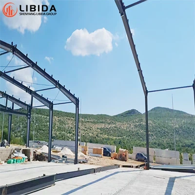 מצוינות במבנה פלדה: פרויקט האנגר מוצלח בקרואטיה